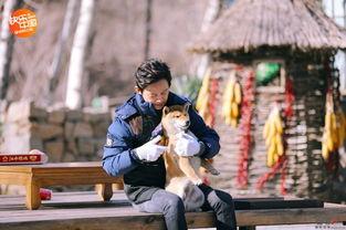 任泉何炅爆料视频最新,娱乐圈幕后真相大曝光！  第2张